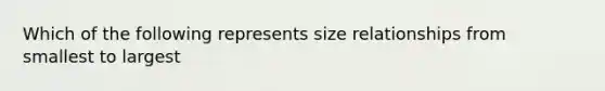 Which of the following represents size relationships from smallest to largest