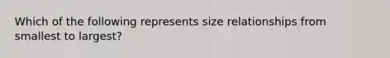 Which of the following represents size relationships from smallest to largest?