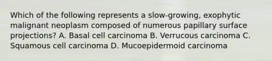 Which of the following represents a slow-growing, exophytic malignant neoplasm composed of numerous papillary surface projections? A. Basal cell carcinoma B. Verrucous carcinoma C. Squamous cell carcinoma D. Mucoepidermoid carcinoma