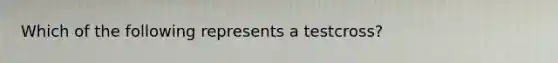 Which of the following represents a testcross?