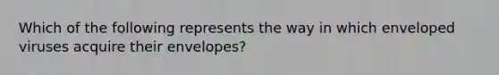 Which of the following represents the way in which enveloped viruses acquire their envelopes?