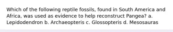 Which of the following reptile fossils, found in South America and Africa, was used as evidence to help reconstruct Pangea? a. Lepidodendron b. Archaeopteris c. Glossopteris d. Mesosauras