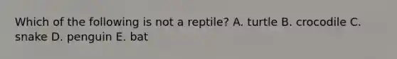 Which of the following is not a reptile? A. turtle B. crocodile C. snake D. penguin E. bat