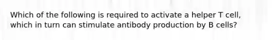 Which of the following is required to activate a helper T cell, which in turn can stimulate antibody production by B cells?