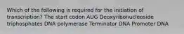 Which of the following is required for the initiation of transcription? The start codon AUG Deoxyribonucleoside triphosphates DNA polymerase Terminator DNA Promoter DNA