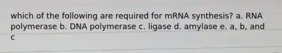 which of the following are required for mRNA synthesis? a. RNA polymerase b. DNA polymerase c. ligase d. amylase e. a, b, and c