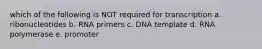 which of the following is NOT required for transcription a. ribonucleotides b. RNA primers c. DNA template d. RNA polymerase e. promoter