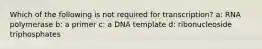 Which of the following is not required for transcription? a: RNA polymerase b: a primer c: a DNA template d: ribonucleoside triphosphates