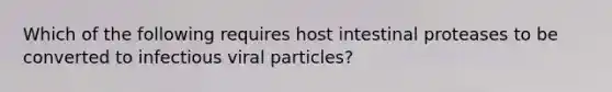 Which of the following requires host intestinal proteases to be converted to infectious viral particles?