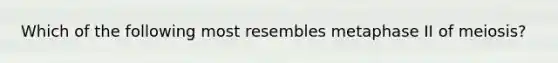 Which of the following most resembles metaphase II of meiosis?