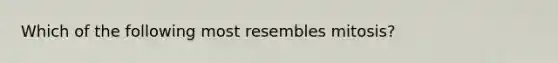 Which of the following most resembles mitosis?
