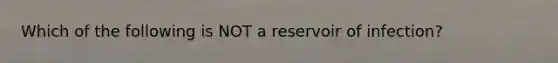 Which of the following is NOT a reservoir of infection?