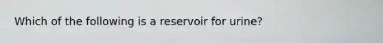 Which of the following is a reservoir for urine?