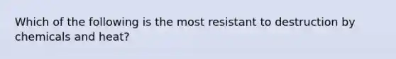 Which of the following is the most resistant to destruction by chemicals and heat?