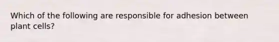 Which of the following are responsible for adhesion between plant cells?