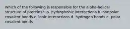 Which of the following is responsible for the alpha-helical structure of proteins?: a. hydrophobic interactions b. nonpolar covalent bonds c. ionic interactions d. hydrogen bonds e. polar covalent bonds