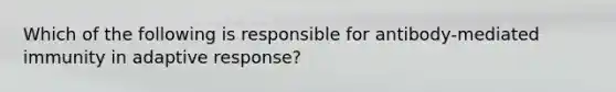 Which of the following is responsible for antibody-mediated immunity in adaptive response?