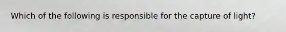 Which of the following is responsible for the capture of light?