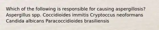 Which of the following is responsible for causing aspergillosis? Aspergillus spp. Coccidioides immitis Cryptoccus neoformans Candida albicans Paracoccidioides brasiliensis