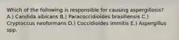 Which of the following is responsible for causing aspergillosis? A.) Candida albicans B.) Paracoccidioides brasiliensis C.) Cryptoccus neoformans D.) Coccidioides immitis E.) Aspergillus spp.