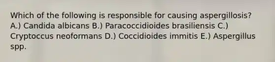 Which of the following is responsible for causing aspergillosis? A.) Candida albicans B.) Paracoccidioides brasiliensis C.) Cryptoccus neoformans D.) Coccidioides immitis E.) Aspergillus spp.