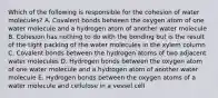 Which of the following is responsible for the cohesion of water molecules? A. Covalent bonds between the oxygen atom of one water molecule and a hydrogen atom of another water molecule B. Cohesion has nothing to do with the bonding but is the result of the tight packing of the water molecules in the xylem column C. Covalent bonds between the hydrogen atoms of two adjacent water molecules D. Hydrogen bonds between the oxygen atom of one water molecule and a hydrogen atom of another water molecule E. Hydrogen bonds between the oxygen atoms of a water molecule and cellulose in a vessel cell