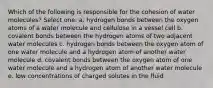 Which of the following is responsible for the cohesion of water molecules? Select one: a. hydrogen bonds between the oxygen atoms of a water molecule and cellulose in a vessel cell b. covalent bonds between the hydrogen atoms of two adjacent water molecules c. hydrogen bonds between the oxygen atom of one water molecule and a hydrogen atom of another water molecule d. covalent bonds between the oxygen atom of one water molecule and a hydrogen atom of another water molecule e. low concentrations of charged solutes in the fluid