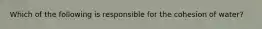 Which of the following is responsible for the cohesion of water?