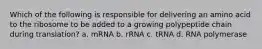 Which of the following is responsible for delivering an amino acid to the ribosome to be added to a growing polypeptide chain during translation? a. mRNA b. rRNA c. tRNA d. RNA polymerase