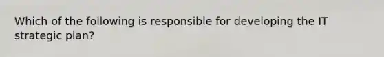 Which of the following is responsible for developing the IT strategic plan?