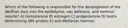 Which of the following is responsible for the development of the Wolffian duct into the epididymis, vas deferens, and seminal vesicle? A) testosterone B) estrogen C) progesterone D) testis determining SRY protein E) anti-Müllerian hormon