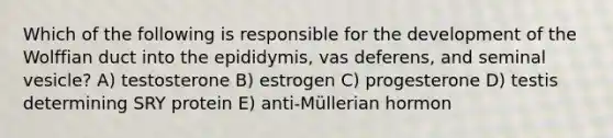 Which of the following is responsible for the development of the Wolffian duct into the epididymis, vas deferens, and seminal vesicle? A) testosterone B) estrogen C) progesterone D) testis determining SRY protein E) anti-Müllerian hormon