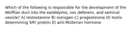 Which of the following is responsible for the development of the Wolffian duct into the epididymis, vas deferens, and seminal vesicle? A) testosterone B) estrogen C) progesterone D) testis determining SRY protein E) anti-Müllerian hormone