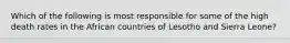 Which of the following is most responsible for some of the high death rates in the African countries of Lesotho and Sierra Leone?