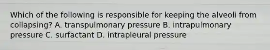 Which of the following is responsible for keeping the alveoli from collapsing? A. transpulmonary pressure B. intrapulmonary pressure C. surfactant D. intrapleural pressure