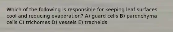 Which of the following is responsible for keeping leaf surfaces cool and reducing evaporation? A) guard cells B) parenchyma cells C) trichomes D) vessels E) tracheids