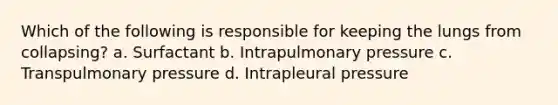 Which of the following is responsible for keeping the lungs from collapsing? a. Surfactant b. Intrapulmonary pressure c. Transpulmonary pressure d. Intrapleural pressure