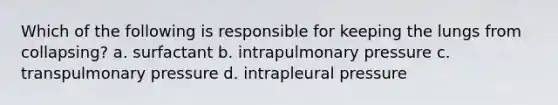 Which of the following is responsible for keeping the lungs from collapsing? a. surfactant b. intrapulmonary pressure c. transpulmonary pressure d. intrapleural pressure