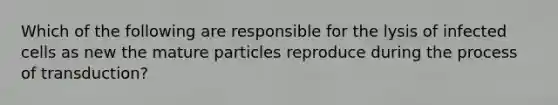 Which of the following are responsible for the lysis of infected cells as new the mature particles reproduce during the process of transduction?