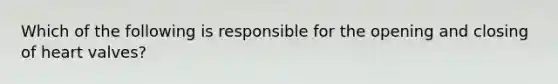 Which of the following is responsible for the opening and closing of heart valves?