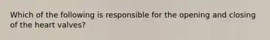 Which of the following is responsible for the opening and closing of the heart valves?