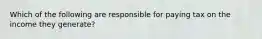 Which of the following are responsible for paying tax on the income they generate?