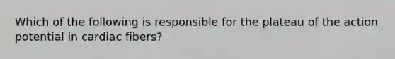 Which of the following is responsible for the plateau of the action potential in cardiac fibers?