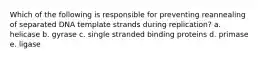 Which of the following is responsible for preventing reannealing of separated DNA template strands during replication? a. helicase b. gyrase c. single stranded binding proteins d. primase e. ligase
