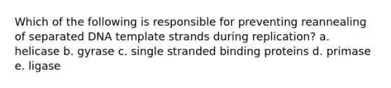 Which of the following is responsible for preventing reannealing of separated DNA template strands during replication? a. helicase b. gyrase c. single stranded binding proteins d. primase e. ligase