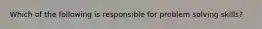Which of the following is responsible for problem solving skills?