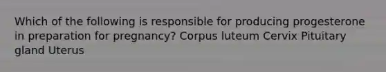 Which of the following is responsible for producing progesterone in preparation for pregnancy? Corpus luteum Cervix Pituitary gland Uterus