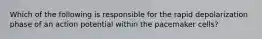 Which of the following is responsible for the rapid depolarization phase of an action potential within the pacemaker cells?