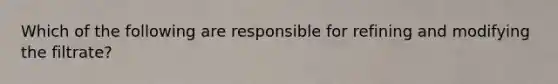 Which of the following are responsible for refining and modifying the filtrate?