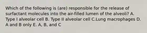 Which of the following is (are) responsible for the release of surfactant molecules into the air-filled lumen of the alveoli? A. Type I alveolar cell B. Type II alveolar cell C.Lung macrophages D. A and B only E. A, B, and C